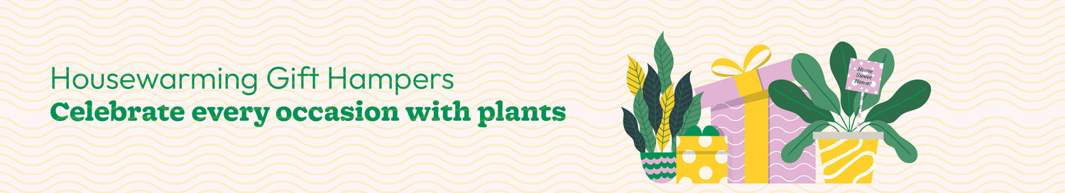 Housewarming Plants