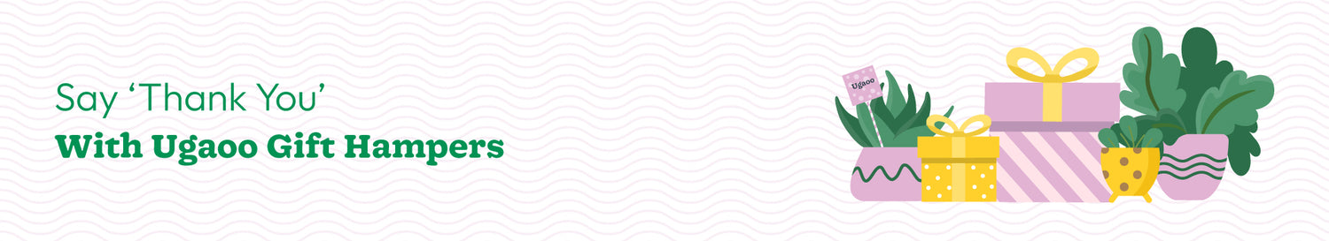 Partner &amp; Customers