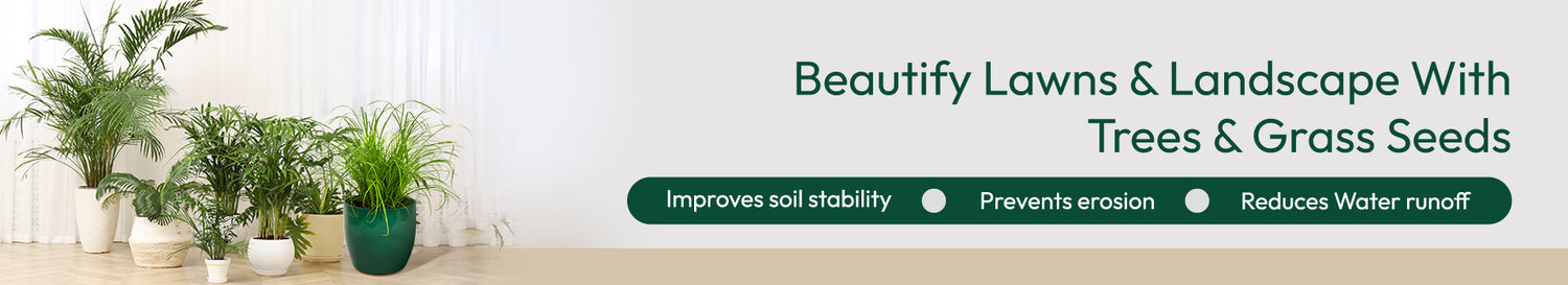 Tree &amp; Grass seeds