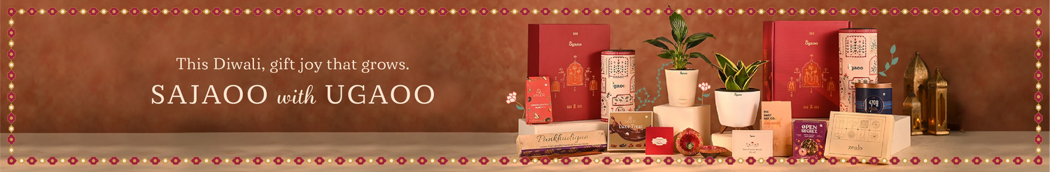 Corporate Diwali Gifts - Plants Hampers