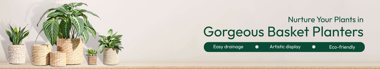 Basket Planter