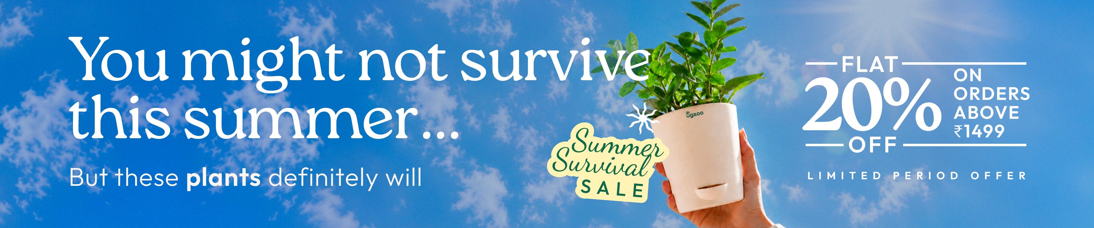 Summer Survival Sale