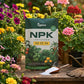 Instagrow NPK 00:52:34 Fertilizer