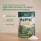 Instagrow NPK 00:52:34 Fertilizer