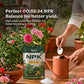 Instagrow NPK 00:52:34 Fertilizer