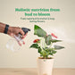 Instagrow NPK 00:52:34 Fertilizer