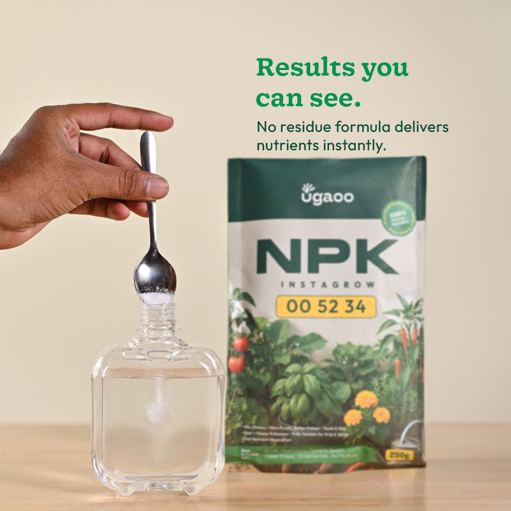Instagrow NPK 00:52:34 Fertilizer
