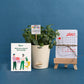 Plant with Plantable Calendar For Employee