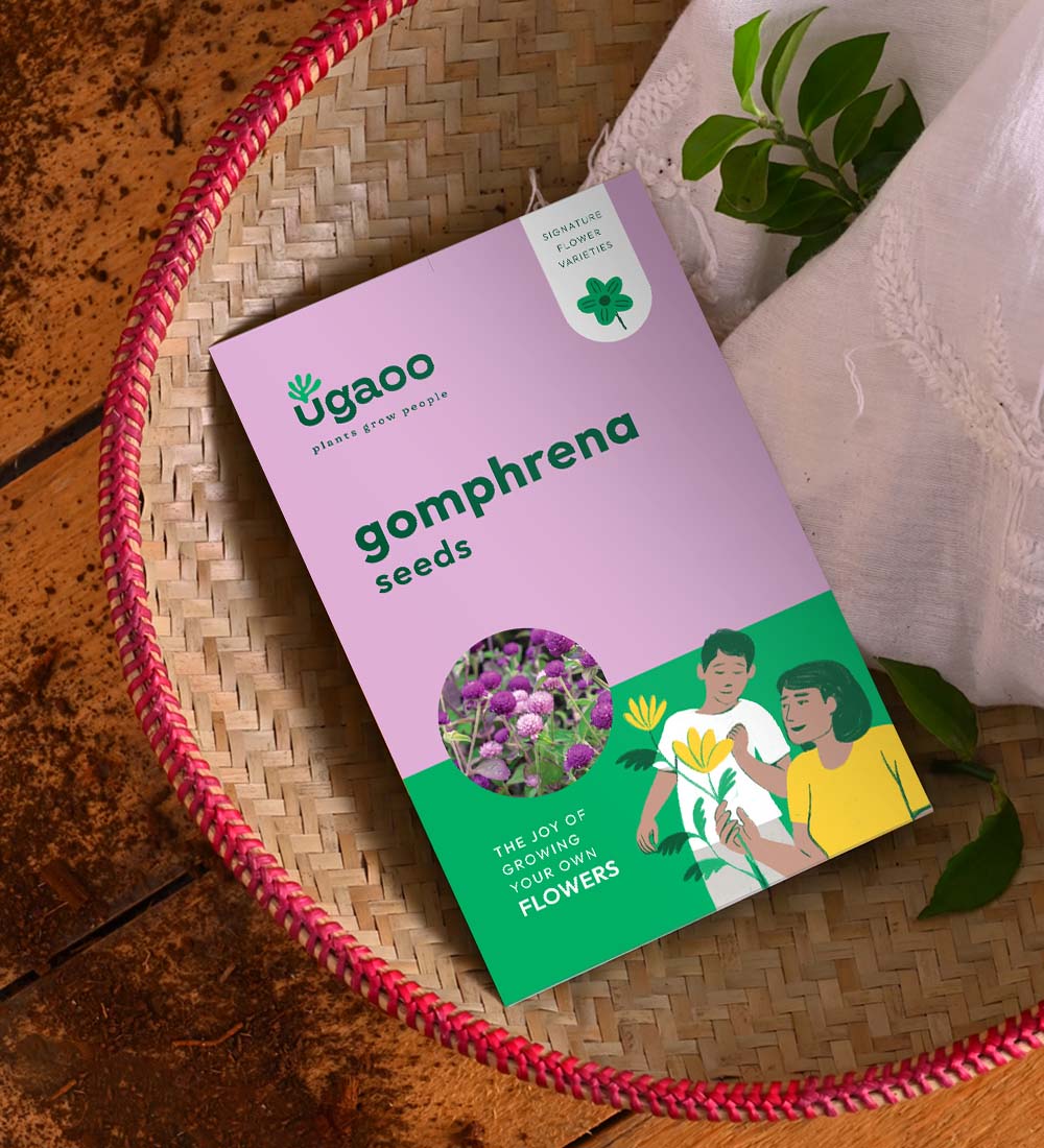 vadamalli flower seeds Gomphrena Seeds – Ugaoo