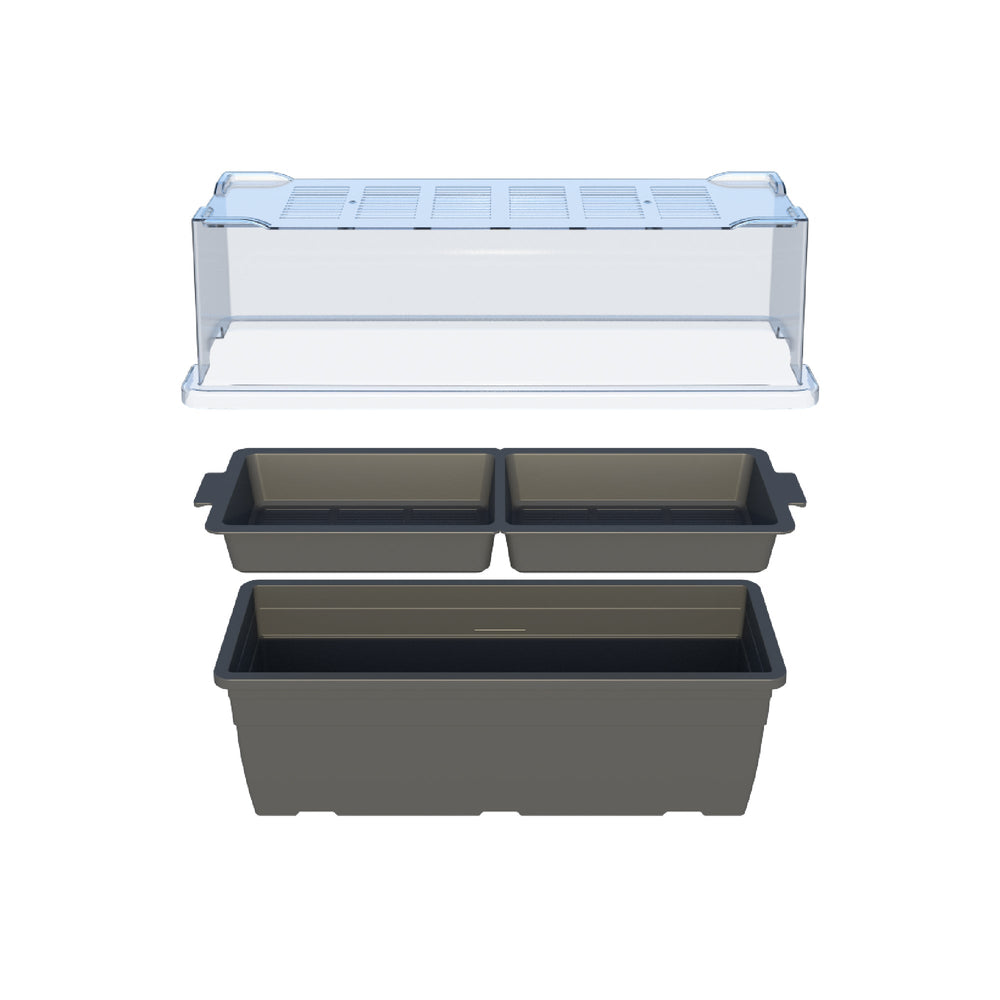 Microgreens Growing Tray