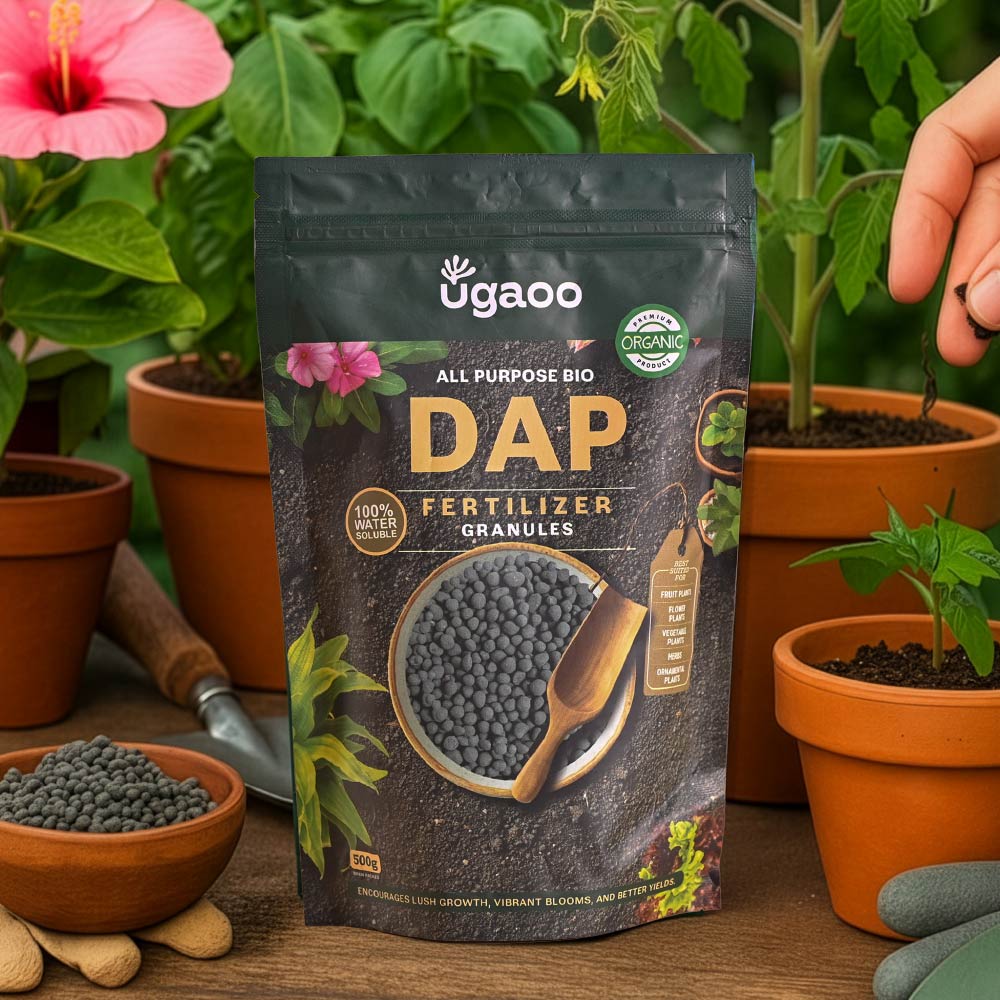Bio DAP Fertilizer for Plants
