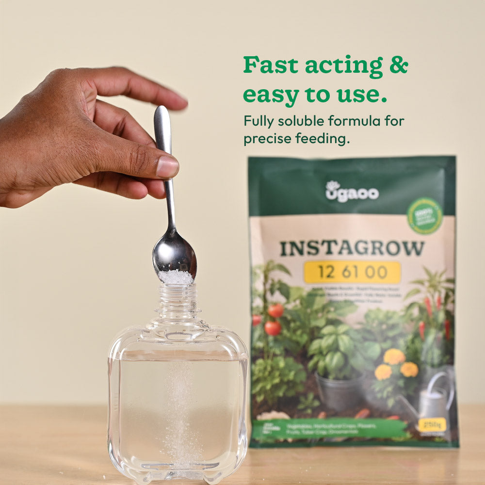 Instagrow NPK 12:61:00 Fertilizer