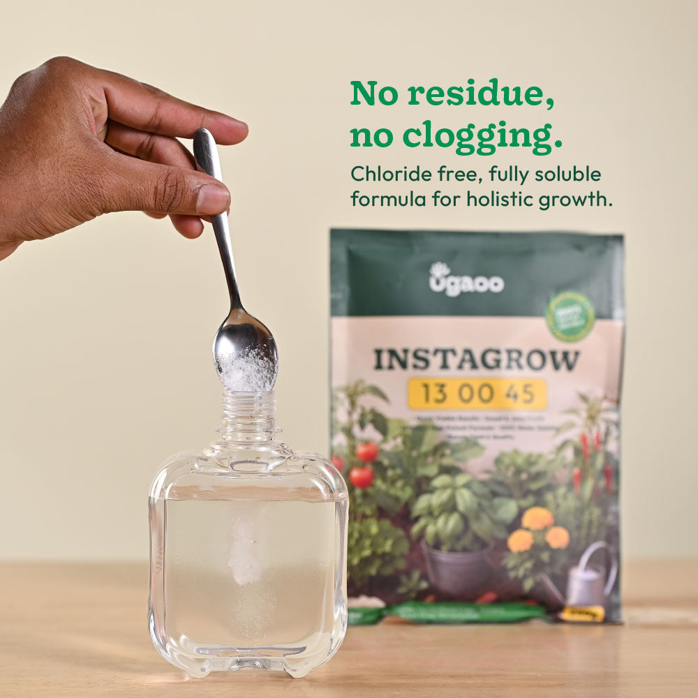 Instagrow NPK 13:00:45 Fertilizer