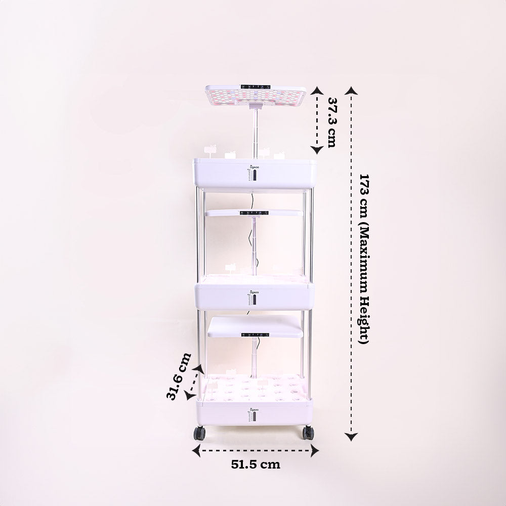 3-Tier Hydroponic Growing System with LED Grow Light