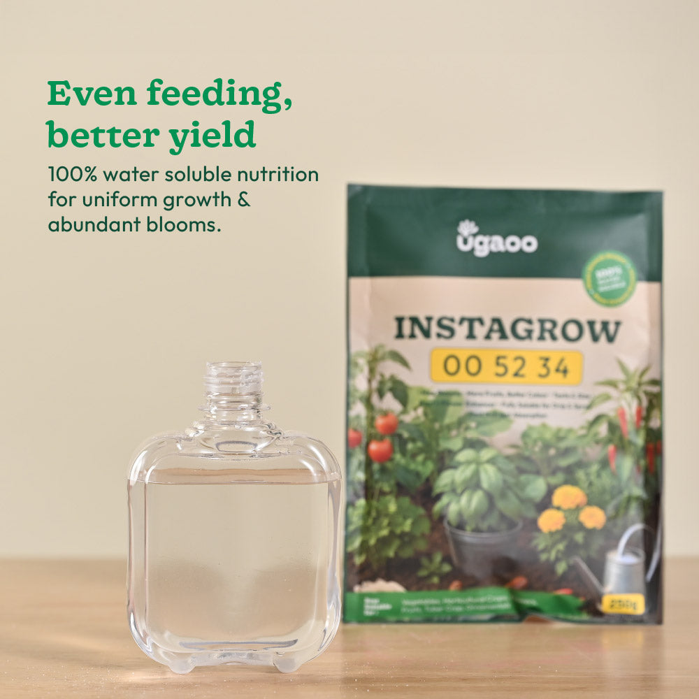 Instagrow NPK 00:52:34 Fertilizer