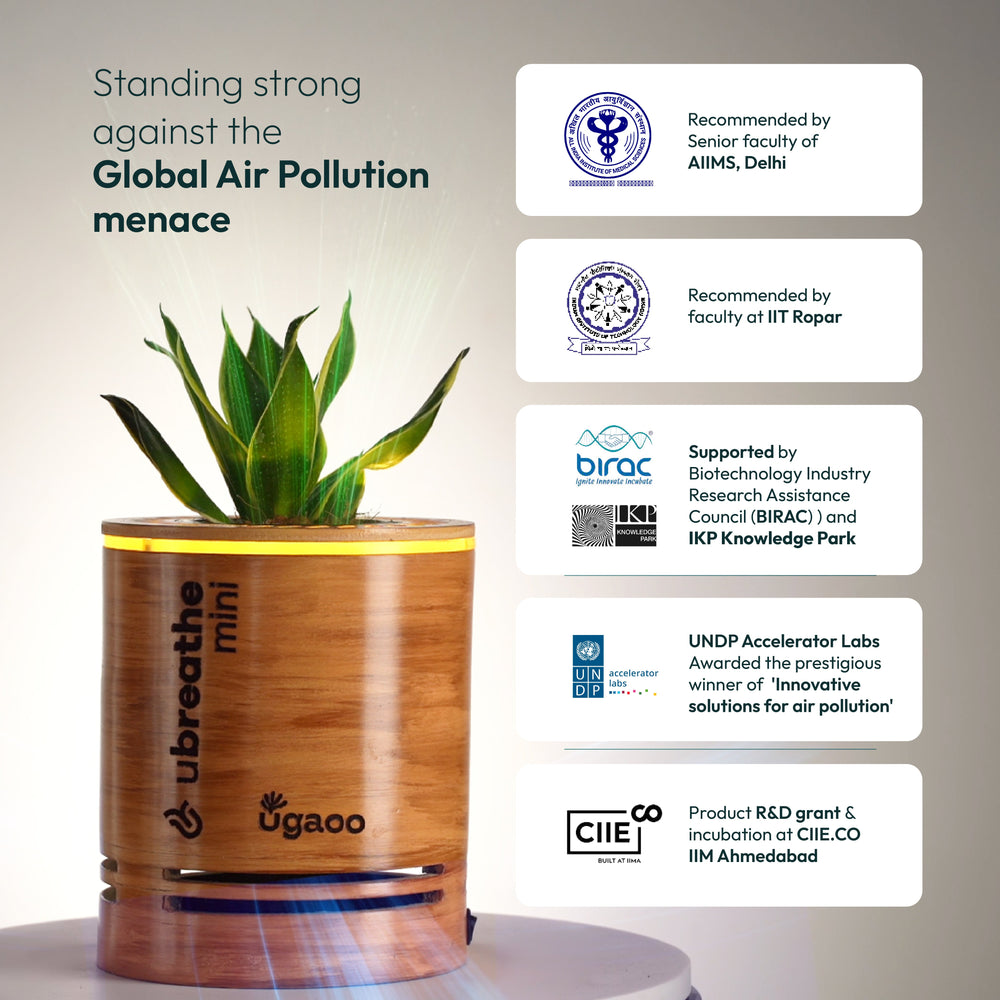 Mini Classic - Air Purifier for Home