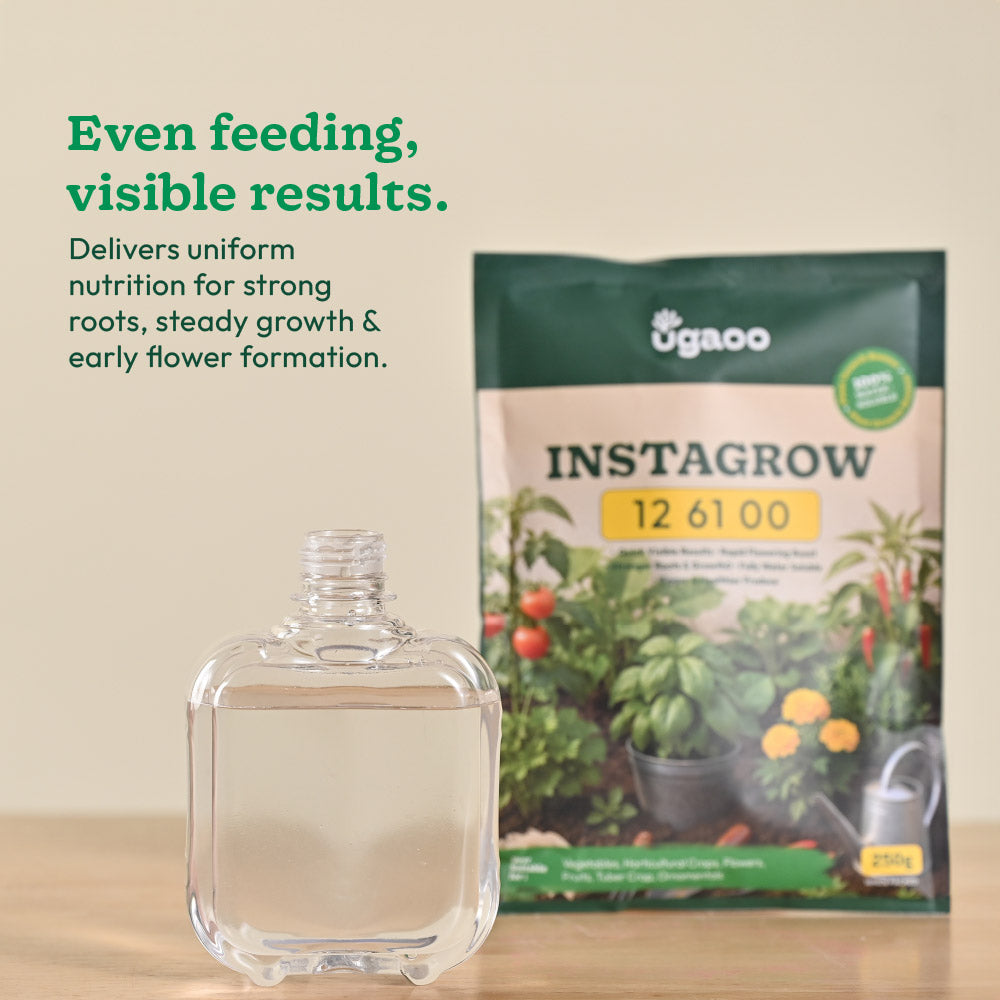Instagrow NPK 12:61:00 Fertilizer