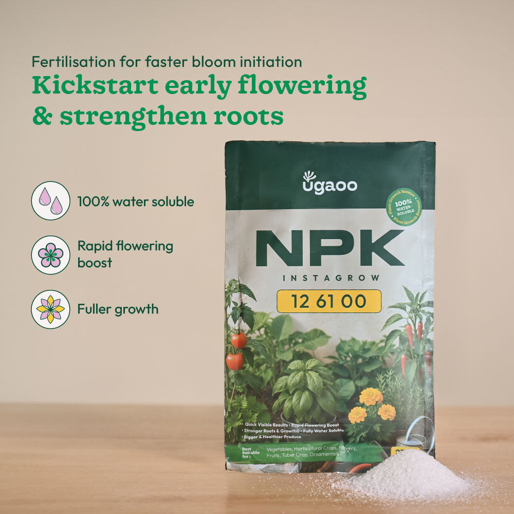 Instagrow NPK 12:61:00 Fertilizer