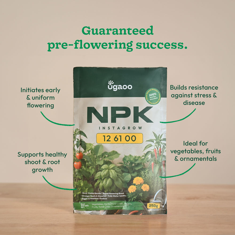 Instagrow NPK 12:61:00 Fertilizer