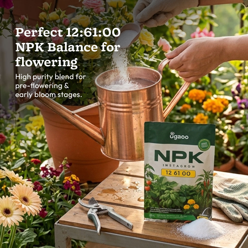 Instagrow NPK 12:61:00 Fertilizer