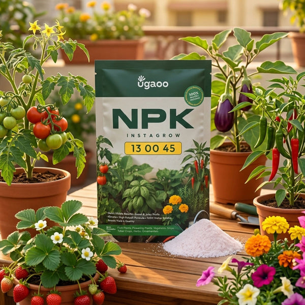 Instagrow NPK 13:00:45 Fertilizer
