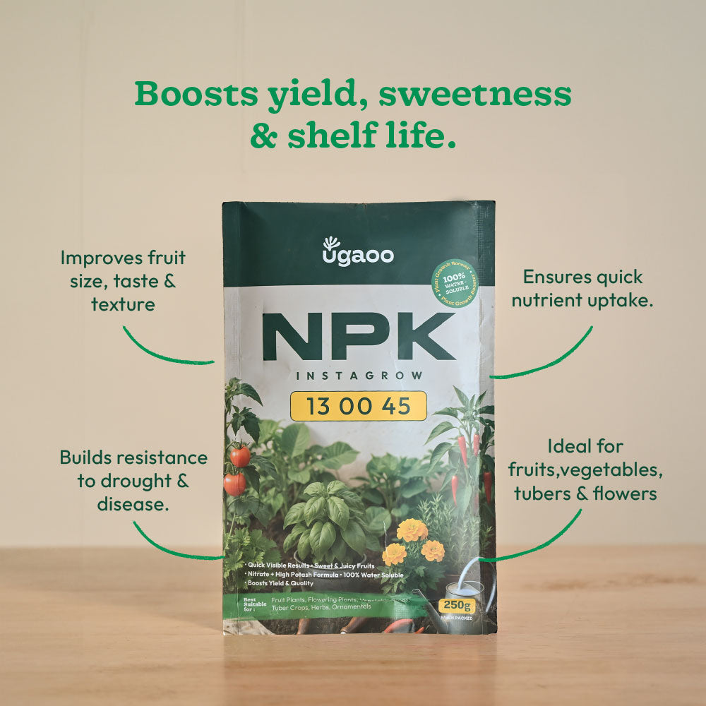 Instagrow NPK 13:00:45 Fertilizer