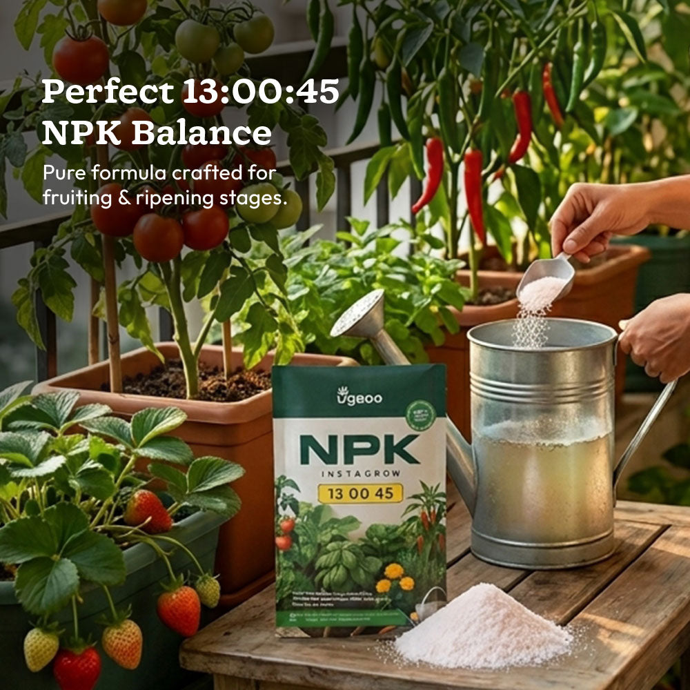 Instagrow NPK 13:00:45 Fertilizer