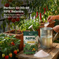 Instagrow NPK 13:00:45 Fertilizer