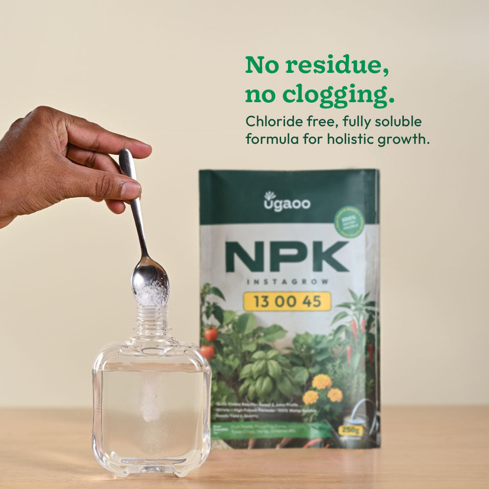 Instagrow NPK 13:00:45 Fertilizer