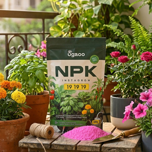 Instagrow NPK 19:19:19 Fertilizer