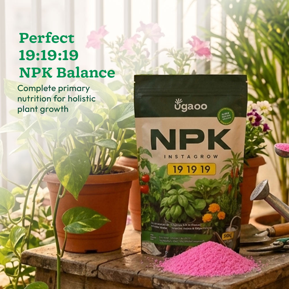 Instagrow NPK 19:19:19 Fertilizer