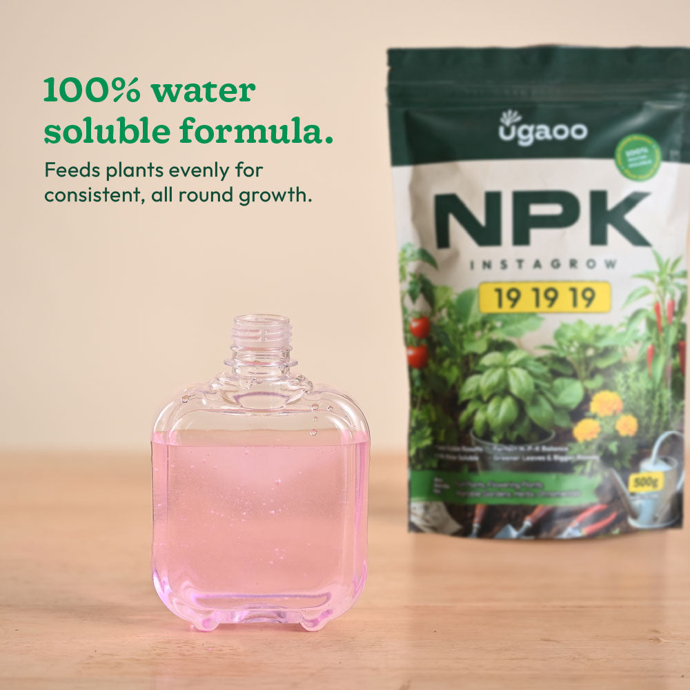 Instagrow NPK 19:19:19 Fertilizer