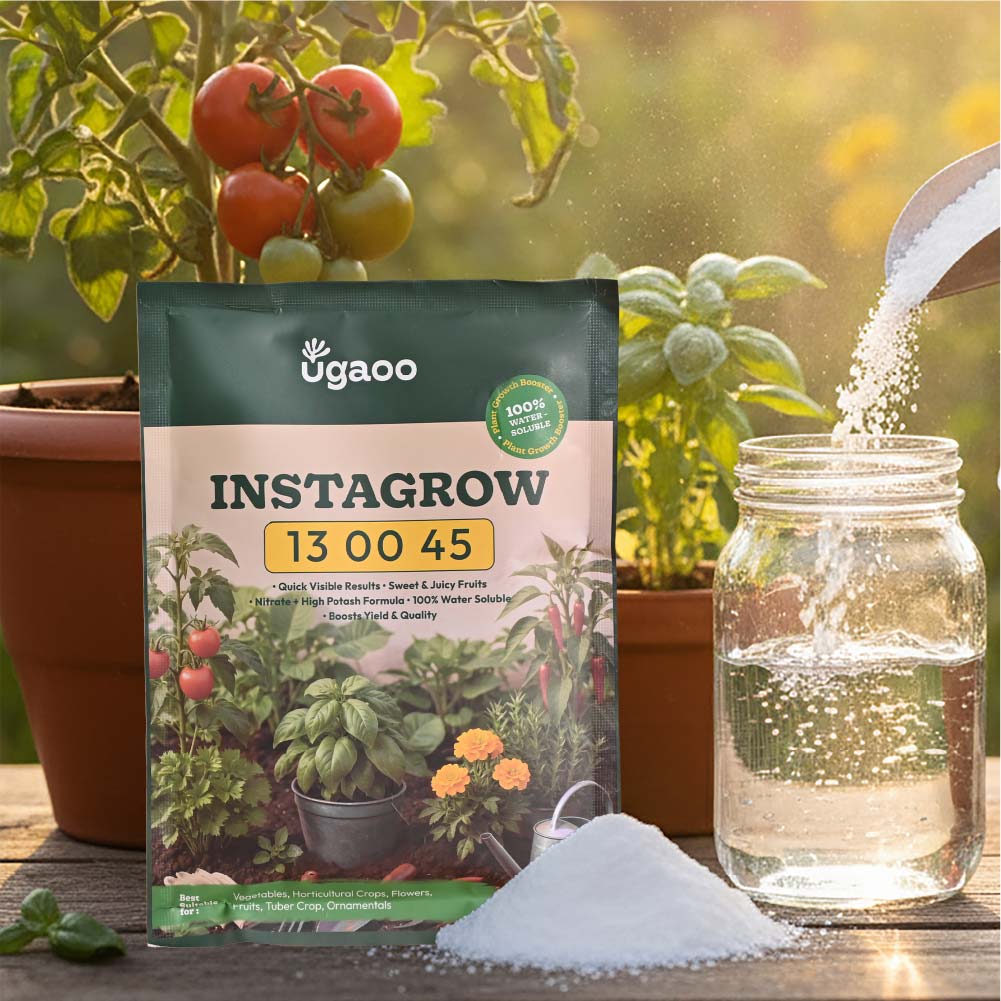 Instagrow NPK 13:00:45 Fertilizer