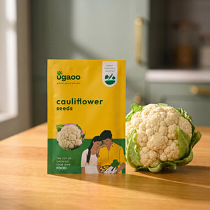 Cauliflower Seeds