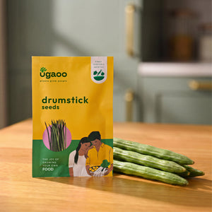 Drumstick Seeds (Moringa)