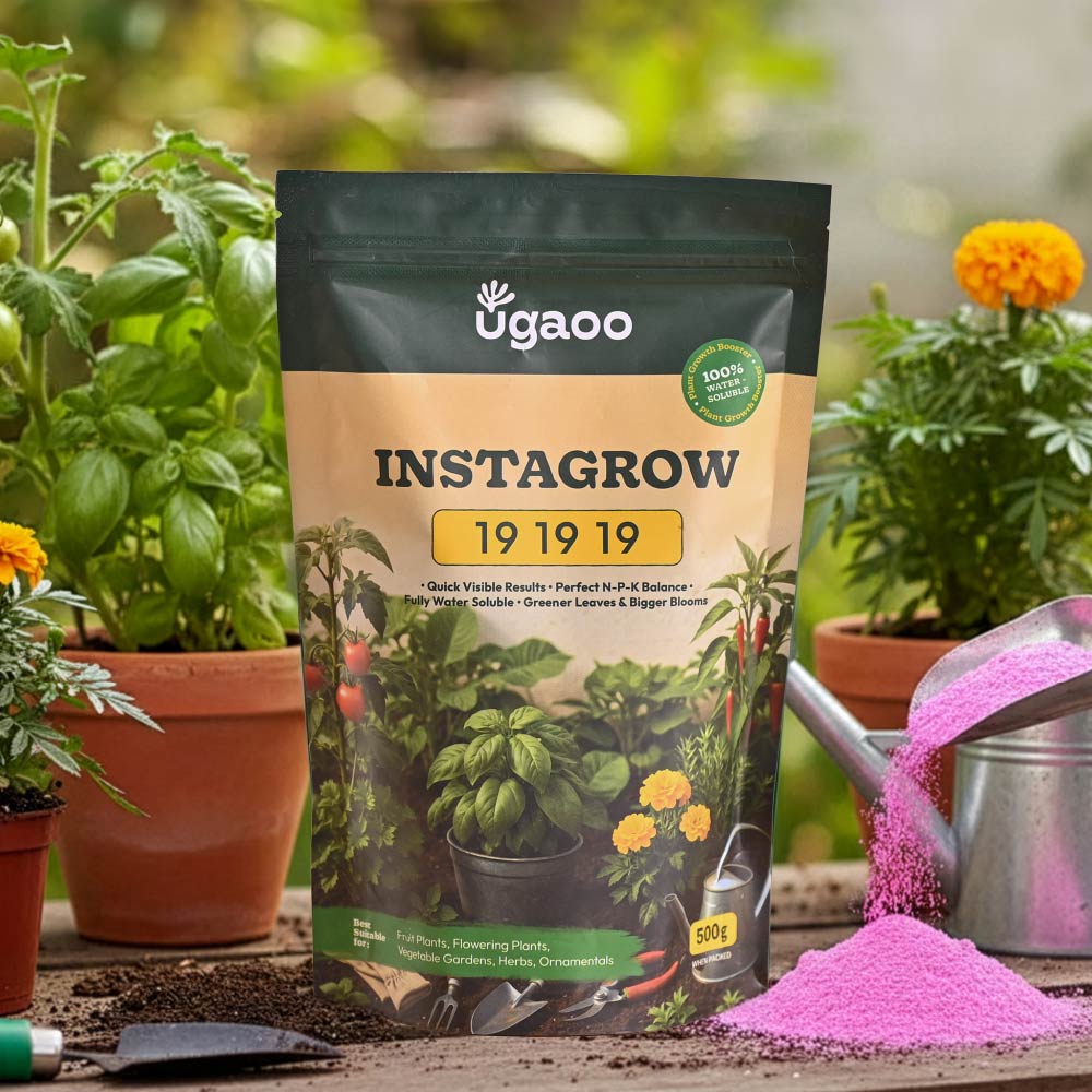 Instagrow NPK 19:19:19 Fertilizer