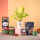 Philodendron Ceylon & Smoor Gift Hamper