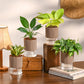 Set of 4 Indoor Plant Decor Bundle