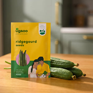 Ridge Gourd Seeds