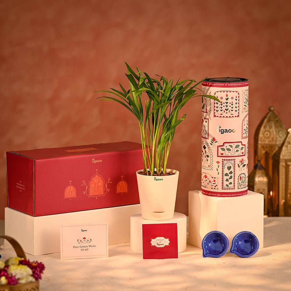 Festive Radiance with Diwali Gift Box