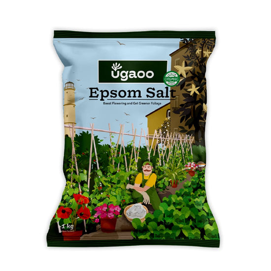 Epsom Salt - 1 kg