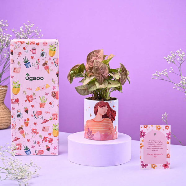 Syngonium Pink in Ceramic Pot Women's Day Gift