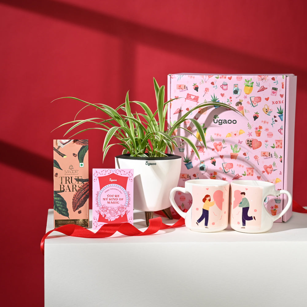 Love That Lasts Hamper