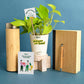 Plant Eco-Friendly Employee Welcome Kit