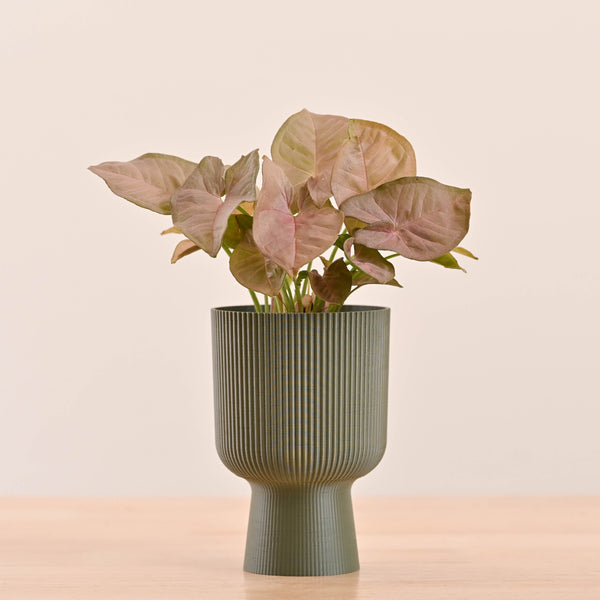 3d printed planter_NUHP0344