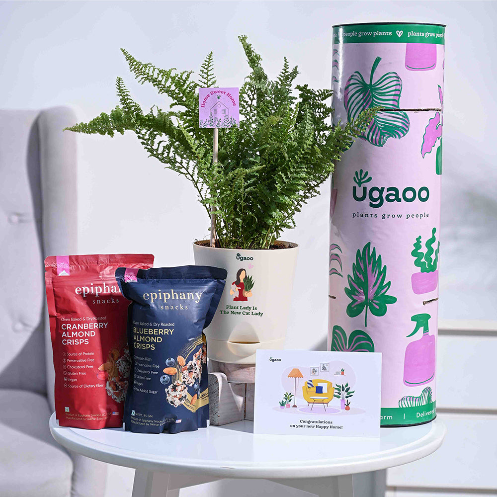 Fern Morpankhi Housewarming Gift Hamper