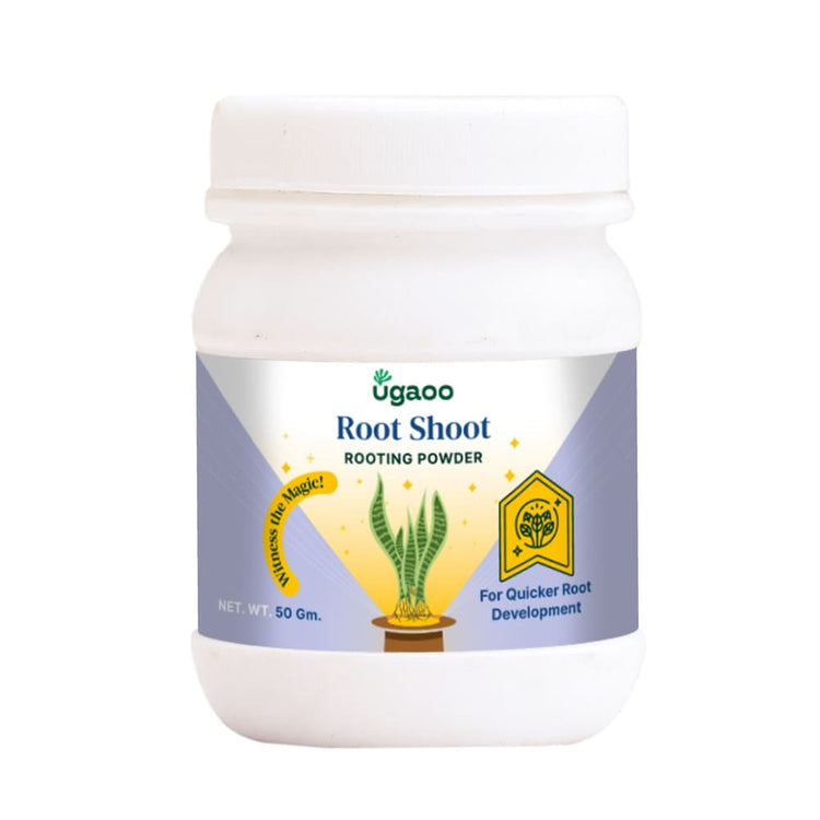 Buy Boost Cutting Growth with Rooting Hormone Powder.