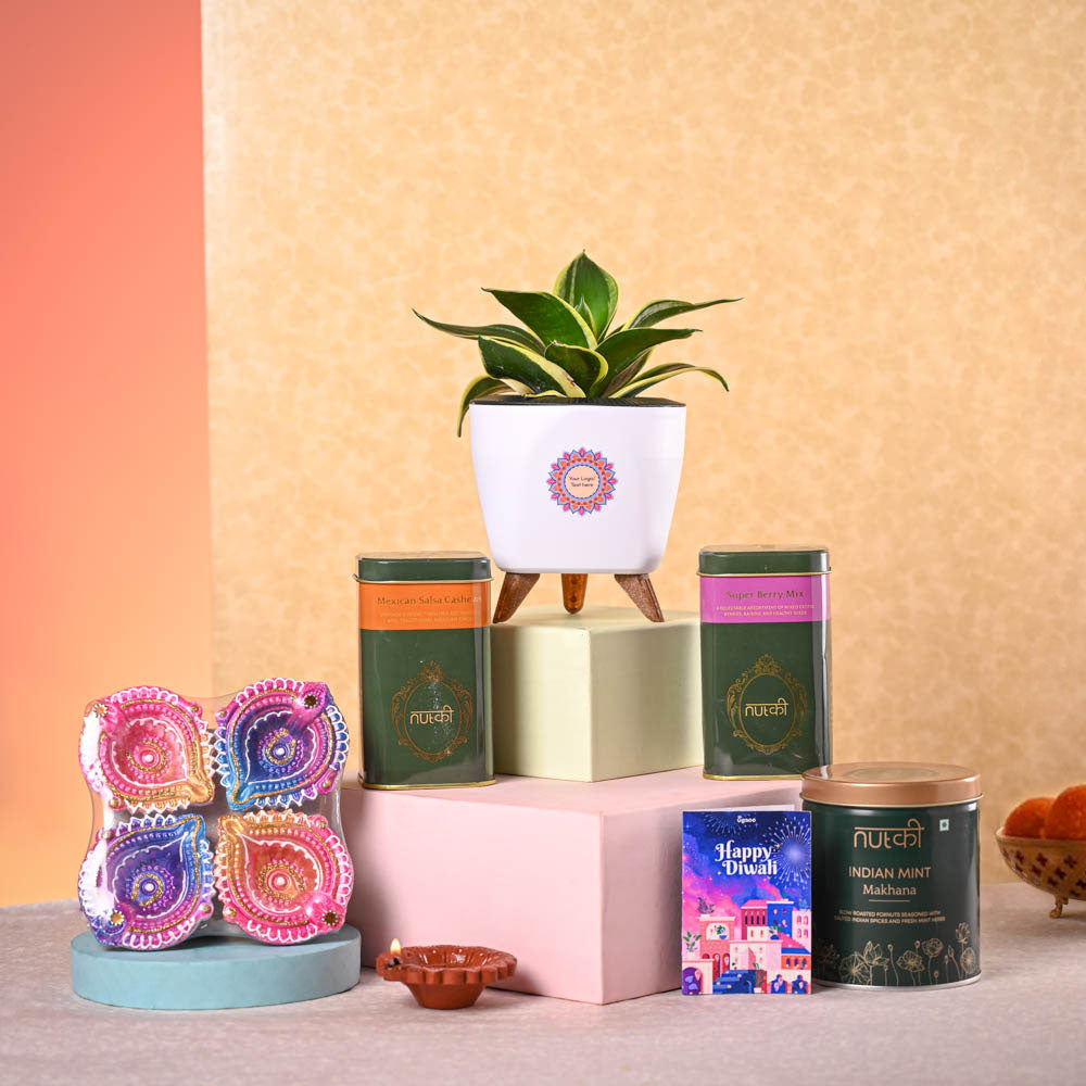 Snake Plant Golden Hahnii &amp; Nutki Diwali Gift Hamper