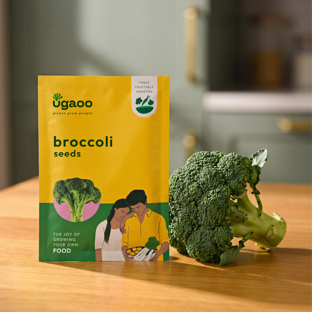 Broccoli Seeds