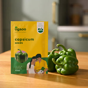 Capsicum Seeds